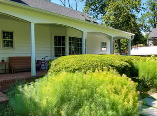 Bush Trimming by German Melara for Nikol J. in Rockville, MD