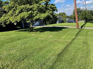 Patricia H.'s Lawn Care service result