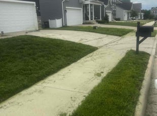 Ayana G.'s Lawn Care service result