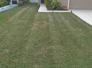 Cleanups by Robert Keene for Stephanie C. in Winter Haven, FL