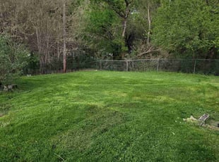 Missy G.'s Grass Cutting service result