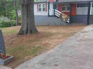 Leaf Removal by Jazzmin Earl for Randallyn D. in Atlanta, GA