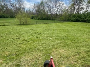 Diane H.'s Grass Cutting service result