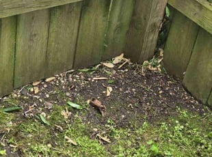 Leaf Removal by Marc Metcalf for Brad A. in West Bend, WI
