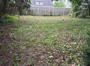 Cleanups by Daniel DomΓnguez for Cheryl H. in Willow Grove, PA