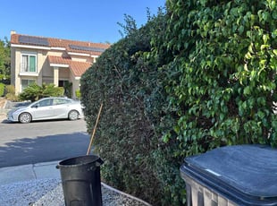 Bush Trimming by Nicholas Poulsen for Daniel L. in San Diego, CA
