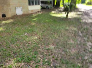 Cleanups by Damien Lizana for Nick F. in Tallahassee, FL