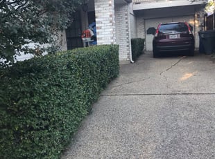 Bush Trimming by Juan Uribe for Tina R. in Dallas, TX