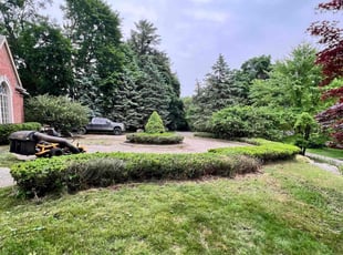 Bush Trimming by Cody Larson for Ning L. in Bloomfield Hills, MI