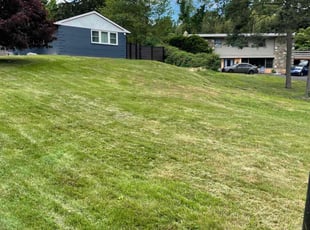 Yvonne B.'s Yard Cutting service result
