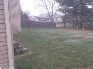 Leaf Removal by David Walton for Shirley C. in Columbus, OH