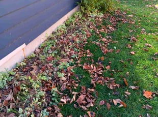 Leaf Removal by Kevin Rhyne for Jeffrey K. in Madison, WI