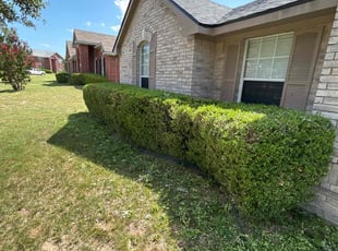 Bush Trimming by Julian Sanchez for Kendra G. in Cedar Hill, TX