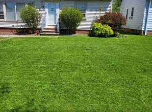 James M.'s Yard Cutting service result