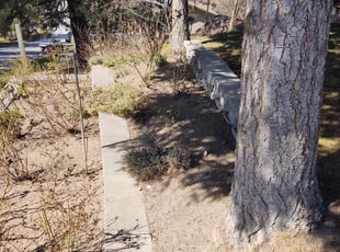 Bush Trimming by Zachary LaMont for Enrique C. in Spokane, WA