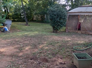 Cleanups by Sarah Skinner for Kimberly B. in Charlotte, NC