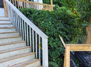 Bush Trimming by Dan Granado for Marnika H. in Suwanee, GA
