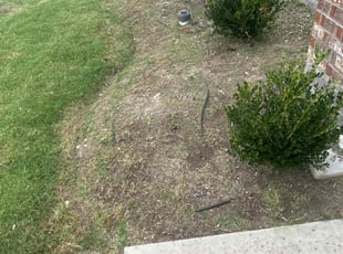 Weeding by Omar Huerta for Josh G. in Frisco, TX