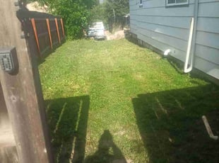 Weeding by Ted Johnson for Desiree W. in Colorado Springs, CO