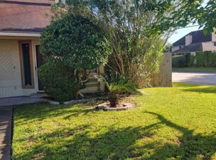 Bush Trimming by Hugo Melgar for Latoya R. in Houston, TX