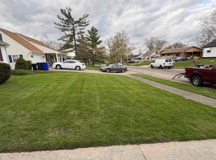 Ector T.'s Lawn Care service result