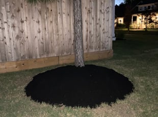 Landscaping by Michael Carothers for Ryan G. in Spring, TX