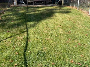 Sherry C.'s Yard Cutting service result