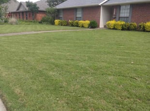 Jeoffrey B.'s Lawn Care service result
