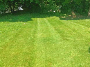 Linda L.'s Lawn Care service result