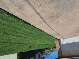 Katrina D.'s Lawn Care service result