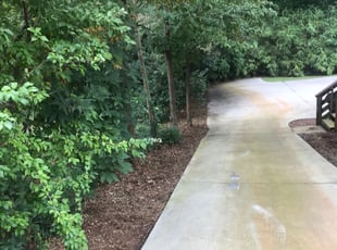 Weeding by Ty Walter for Rachel G. in Greenville, SC