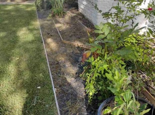 Weeding by Jeronimo Barrientos for Chad M. in Lockhart, TX