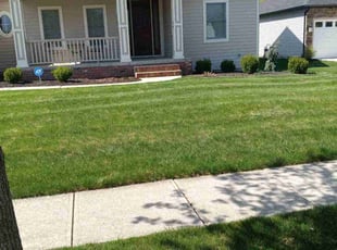 Patricia B.'s Lawn Mowing Service service result