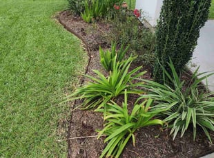 Weeding by Dan Foster for Christopher W. in Youngsville, LA