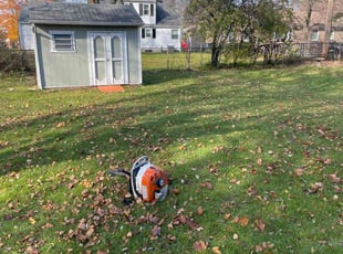 Leaf Removal by Brandon Mudget for Tawanda B. in Lansing, MI