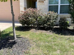 Bush Trimming by Preston McNeely for Delvon B. in San Antonio, TX