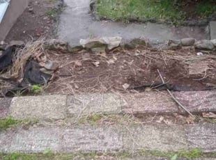 Cleanups by Jeremy Ellis for Ben L. in Wallingford, CT