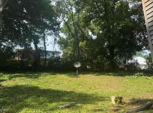 Cleanups by Terrance Flowers for Ashley J. in Charlotte, NC