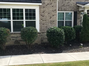 Bush Trimming by Hugo lopez for Charles . in Kennesaw, GA