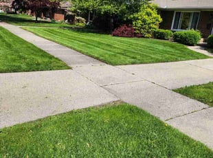Gloria L.'s Lawn Mowing service result