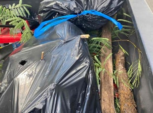 Cleanups by Jose Mendez for Jaen F. in Houston, TX