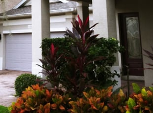 Landscaping by Brandon Mcarthur for Marnita F. in Windermere, FL