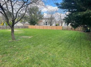 Steven C.'s Grass Cutting service result