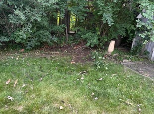 Cleanups by Francisco Silva for Wilma R. in Aurora, IL