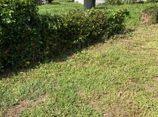 Cleanups by Robert Martin for Timothy M. in Winter Haven, FL