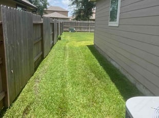 Cleanups by Blayke Elder for Bryce G. in Tomball, TX