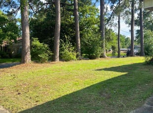 Derek S.'s Lawn Maintenance service result