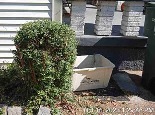 Bush Trimming by Carmen Euell for Sydney M. in Memphis, TN