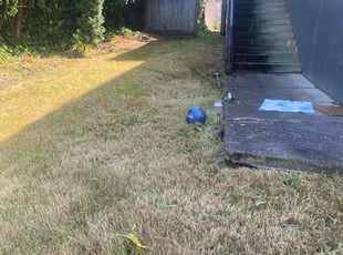 Cleanups by Carlos Ledesma for Dawn O. in Salem, OR