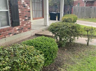 Bush Trimming by Henry Talbert for Ruby W. in Baton Rouge, LA